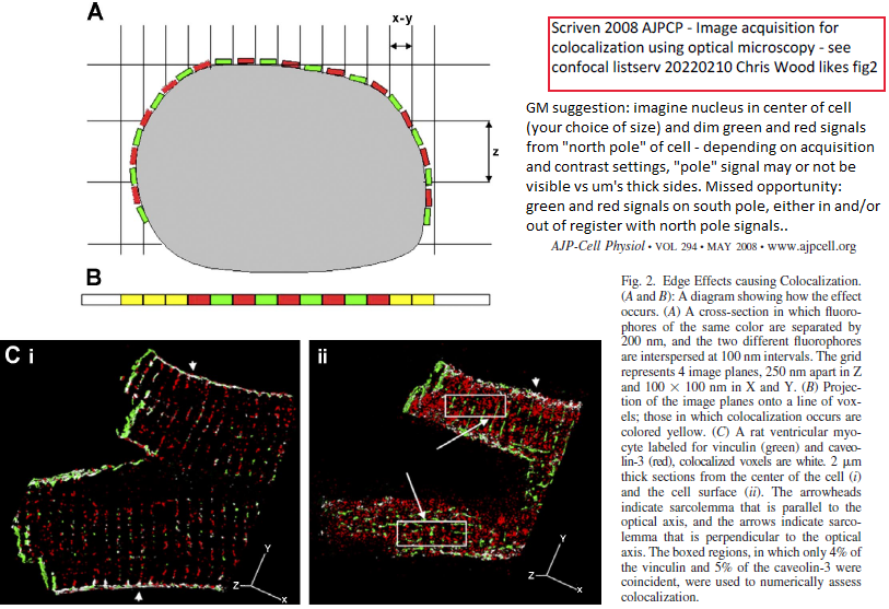 Scriven 2008 AJPCP fig2 - Image acquisition for colocalization using optical microscopy